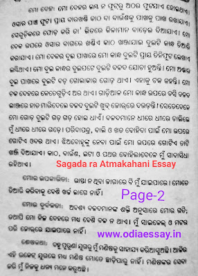 Odisha my state essay in 250 words picture