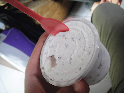 Contoh Hasil Hard Ice Cream Dalam Cup