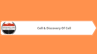 Cell & Discovery Of Cell Cell & Discovery Of Cell