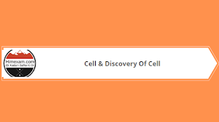 Cell & Discovery Of Cell