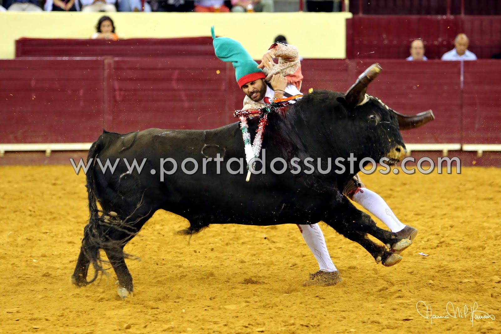 GALERIA DAS PEGAS DO CAMPO PEQUENO