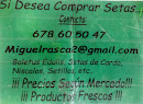 Venta de Setas