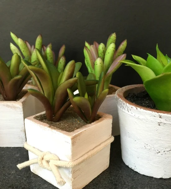 Create decorative pots for faux succulents. www.homeroad.net