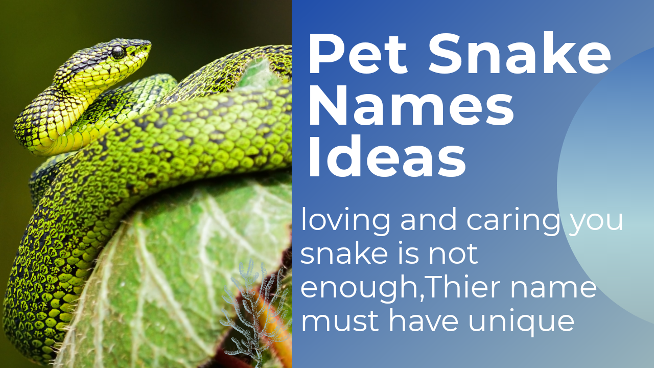 500+ Unique Snake Names ideas you Never seen BeforePet Snake Names ideas