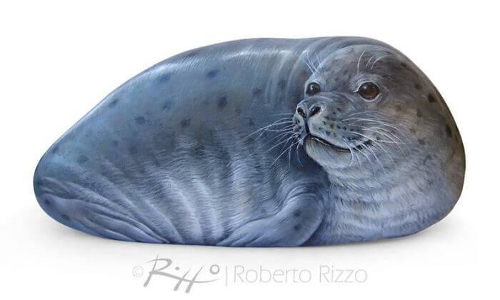 05-Spotted-Seal-Roberto-Rizzo-www-designstack-co