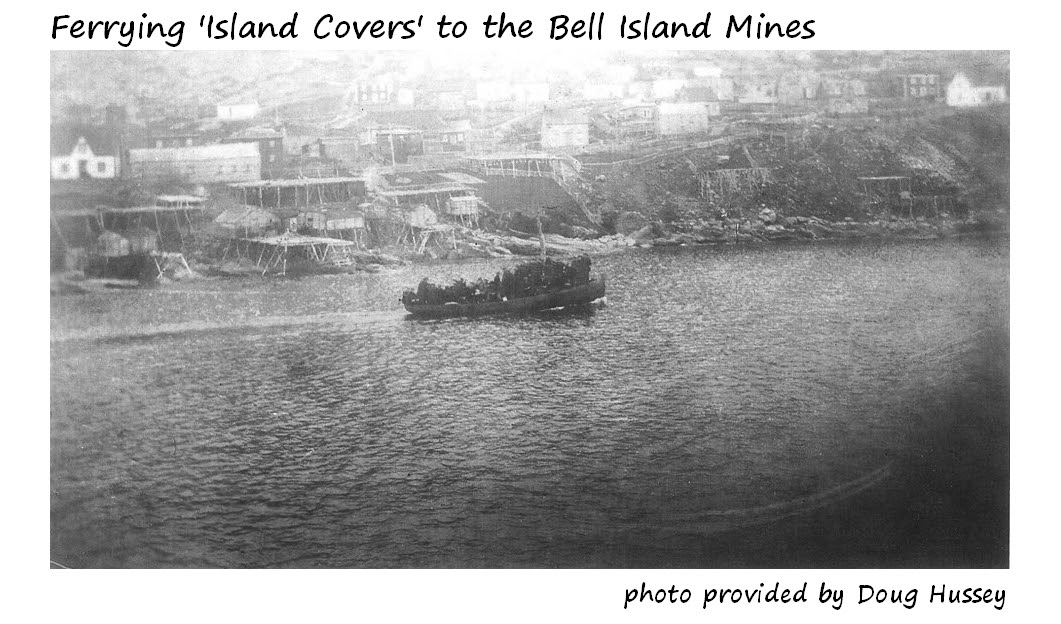 Upper Island Cove Family Roots Compiling a Written Record Bell