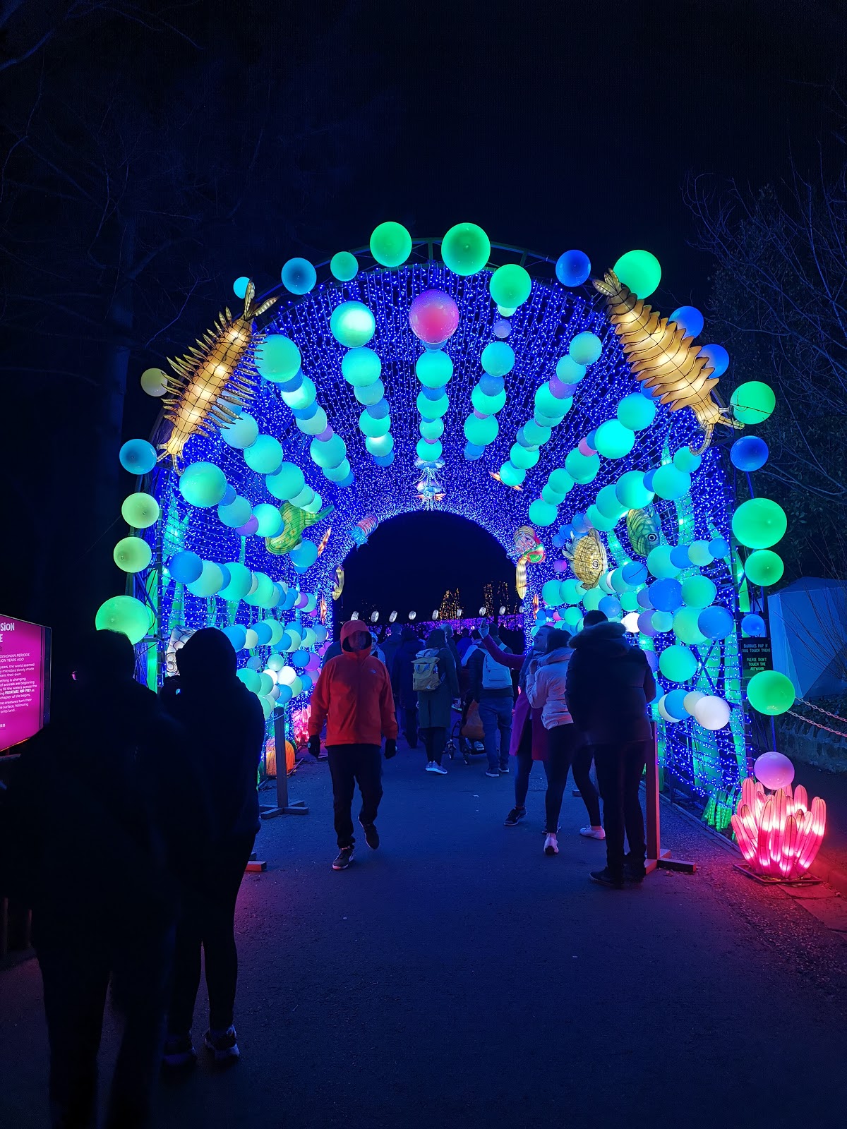Edinburgh Zoo Lanterns