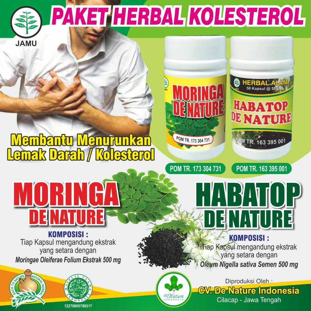 obat kolesterol tinggi 500 mg