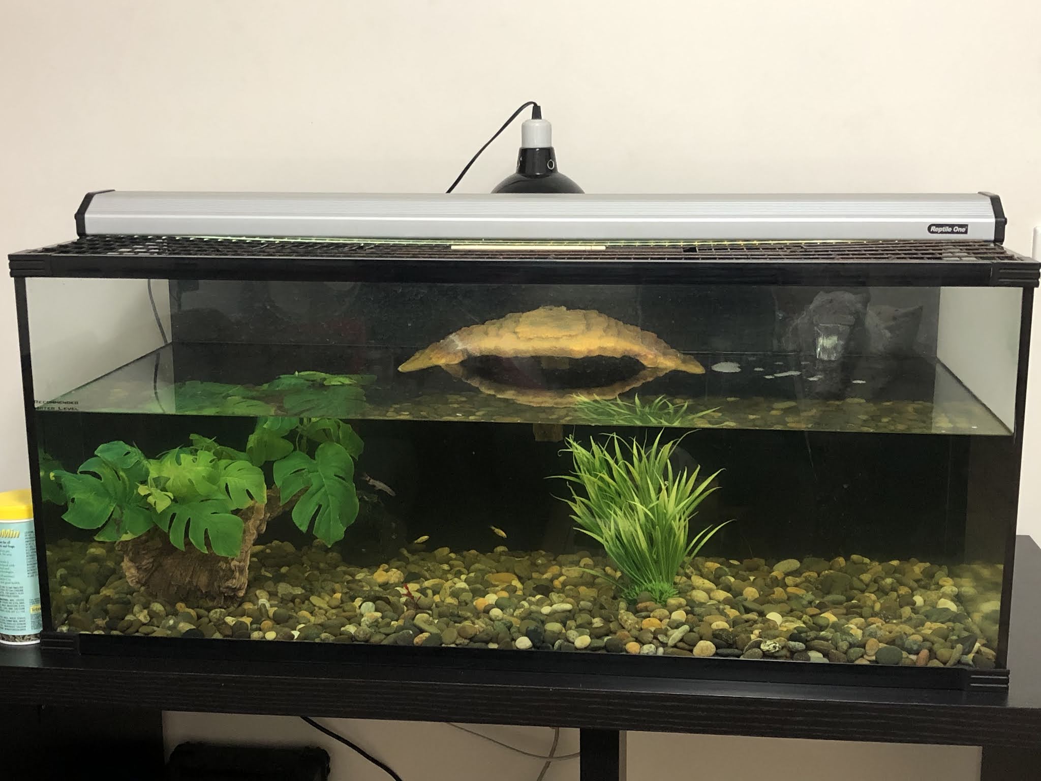 New hobby Aquarium