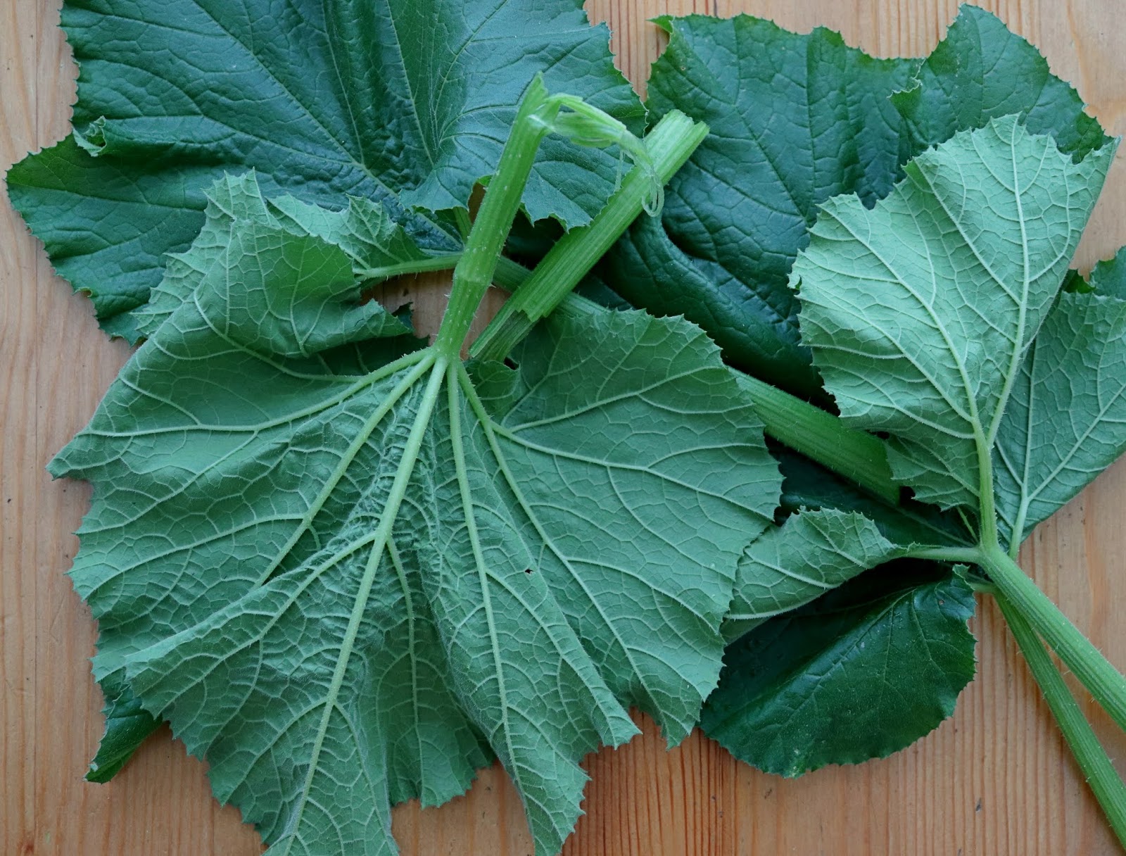 Torviewtoronto Side dish with pumpkin leaves and shrimp