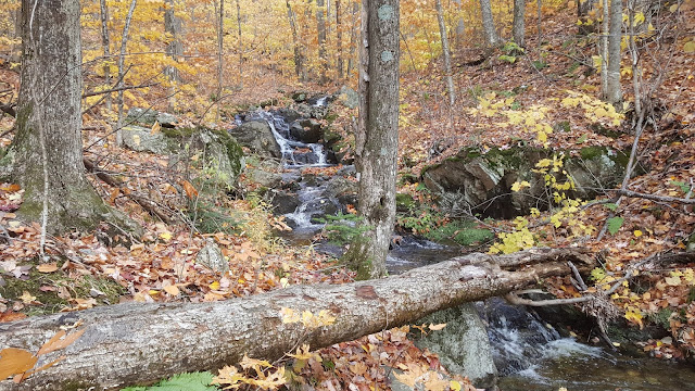 Sentier de la boucle du mont Chauve