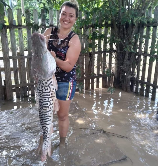 Durante limpeza moradora encontra peixe gigante no quintal após vazante do Rio