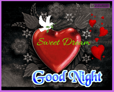 good-night-shayari-with-photo good-night-love-images-in-hindi