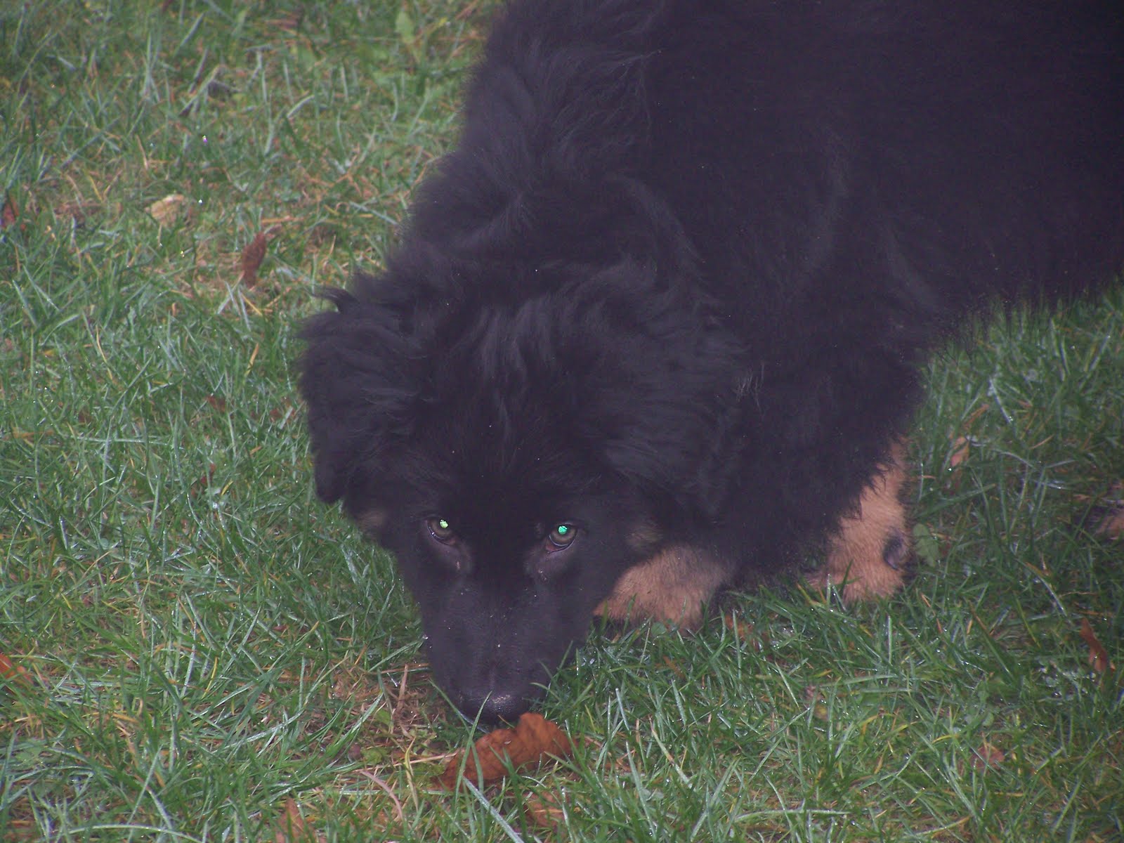 Beim Kräuterfraala August 2011