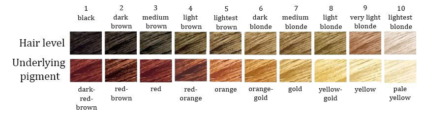 Bleaching Hair Color Level Chart