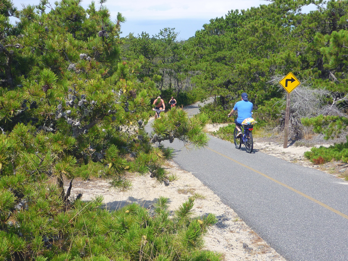 Trailing Ahead From Provincetown to Herring Cove and Hatches Harbor