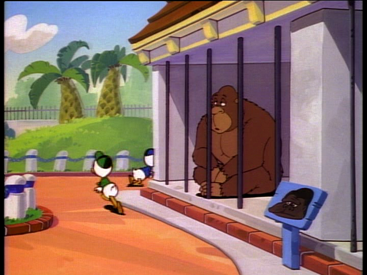 Ipswich Heidelberger Zoo Parrot Escapade: Massive Flock Vanishes, Zoo Launches High-Stakes Search