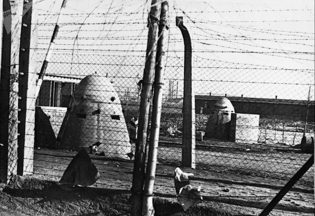 Auschwitz was guarded by some 6,000 SS men. Their personal data have been preserved and revealed that three quarters had full secondary education, while 5% were university graduates with a degree. Almost 80% identified themselves as religious. They were 42.4% Catholics and 36.5% Protestants. One in 10 of them was female. In the photo: armored forts in the Auschwitz camp. Auschwitz was guarded by some 6,000 SS men. Their personal data have been preserved and revealed that three quarters had full secondary education, while 5% were university graduates with a degree. Almost 80% identified themselves as religious. They were 42.4% Catholics and 36.5% Protestants. One in 10 of them was female. In the photo: armored forts in the Auschwitz camp.