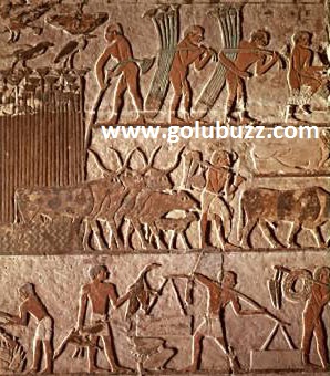 indus valley civilization