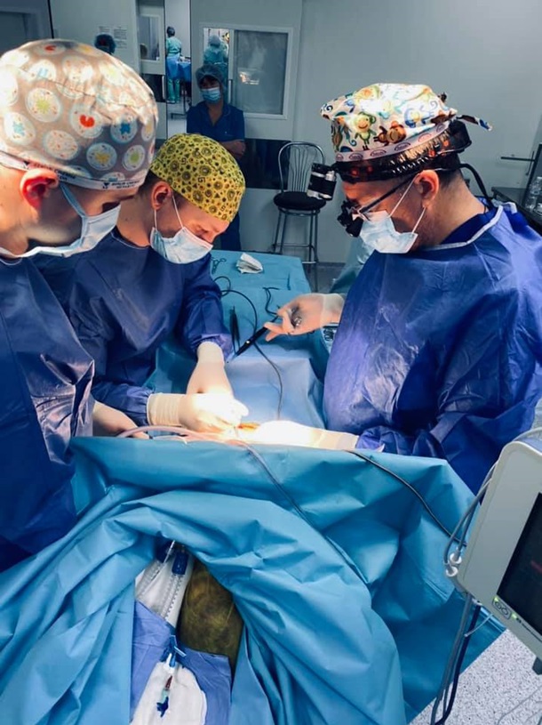 трансплантация кистей рук. доктор борменталь собачье сердце. что пересадили шарику. операция по пересадке головы. булгаков "собачье сердце".