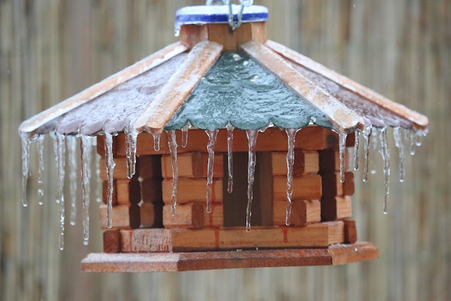 birdhouse with icicles