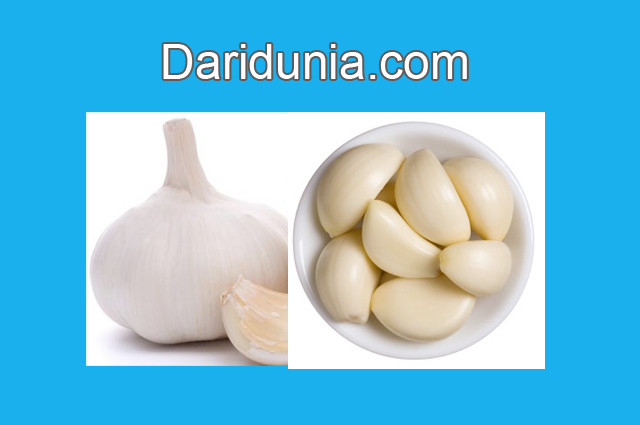 Manfaat Bawang Putih untuk Obat Tradisional dalam Mengobati Sakit Gigi