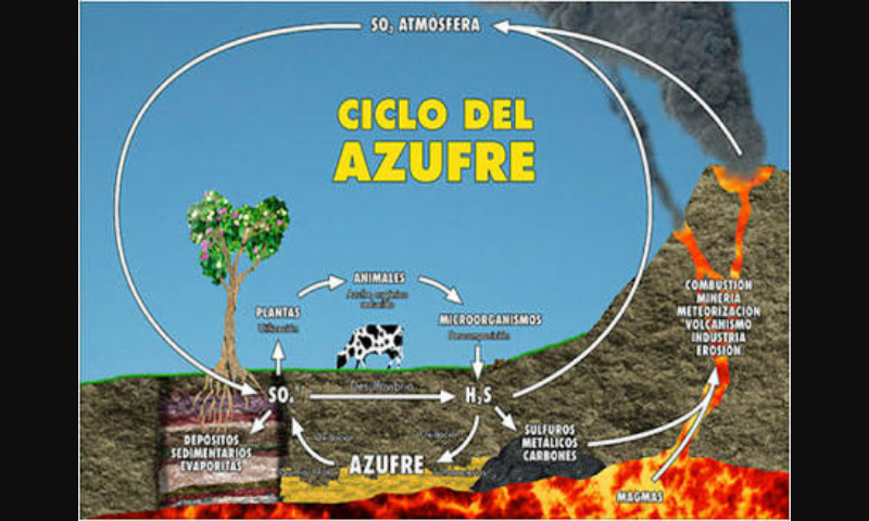 Ciclos Biogeoquimicos Ciclo Del Azufre S Images