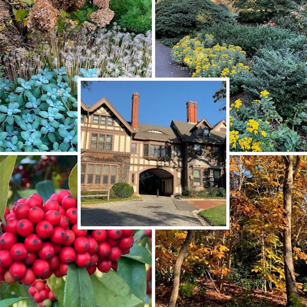 A GUIDE TO NORTHEASTERN GARDENING Autumn at Bayard Cutting Arboretum