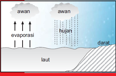 Siklus Hidrologi: Siklus Pendek, Siklus Sedang, dan Siklus Panjang