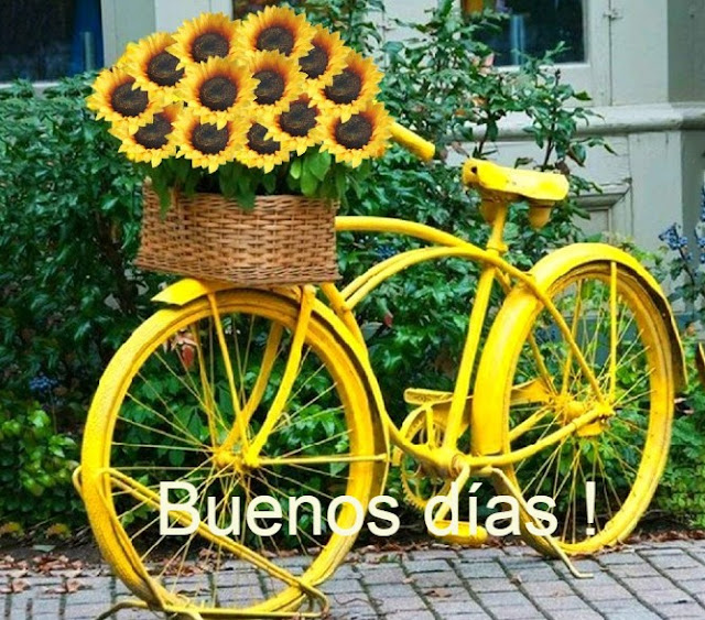 Girasoles amarillos en una bicicleta amarilla