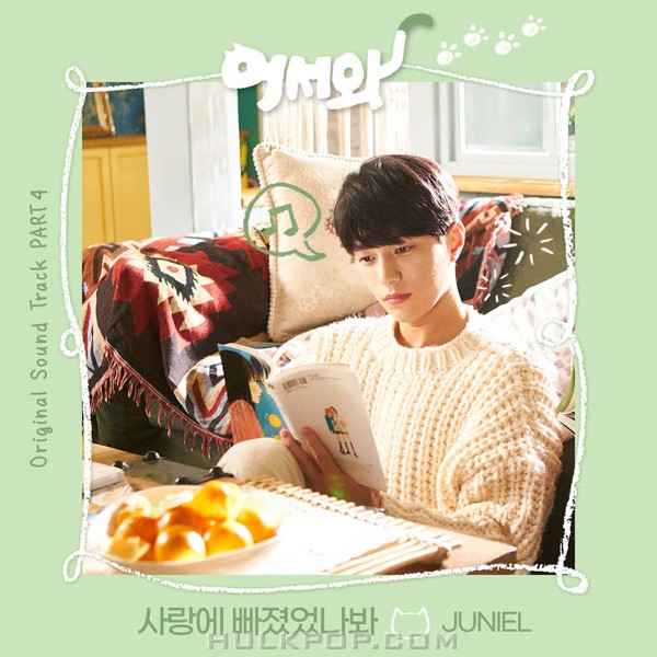 JUNIEL – Meow, the Secret Boy OST Part.4