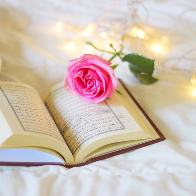 Quran HD Images Quran Images With Flowers Deeni Islamic Images