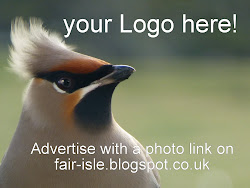 *  Advertise Here!  *  Support Fair Isle Blogging!