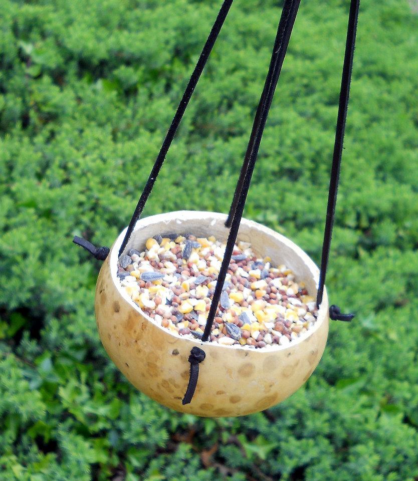 Bird In Everything Gourd Bird Feeders