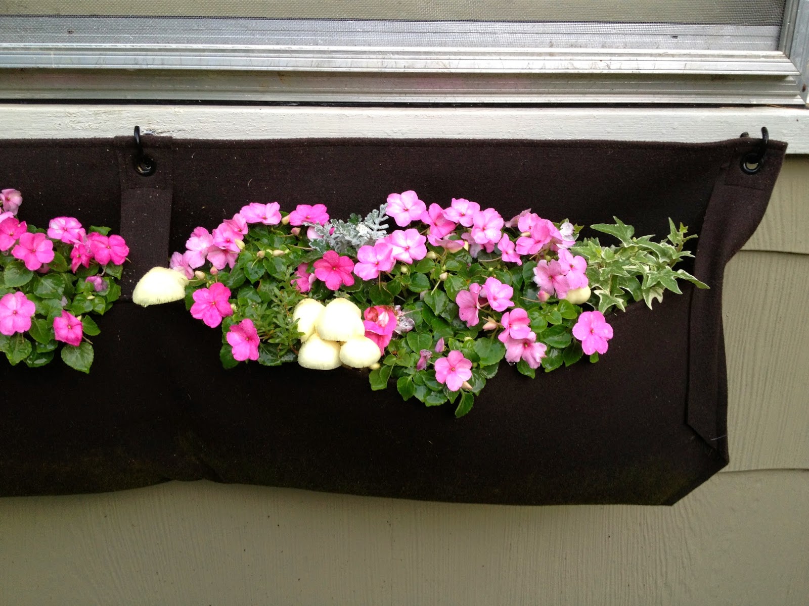 Window Boxes With Impatiens Window Box