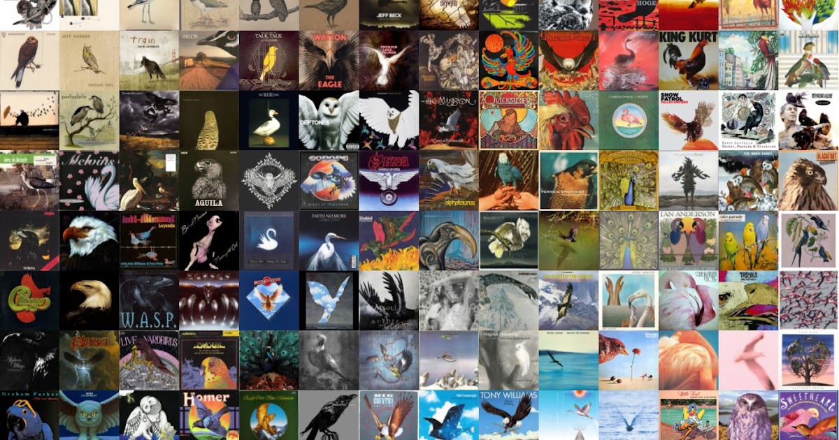 TravelMarx Music album covers with birds on them