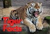 120+ Terrific Facts And Information About Tiger in Hindi