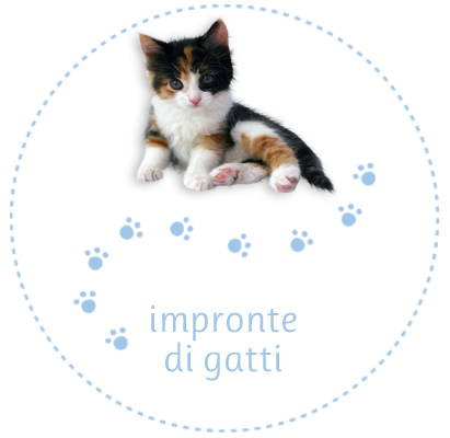 impronte di gatti