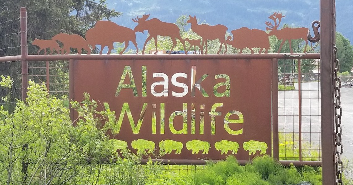 Welcome to Luxury Travel Docs!: Review of the Alaska Animal Wildlife