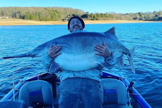 Tennessee man catches, releases massive paddlefish