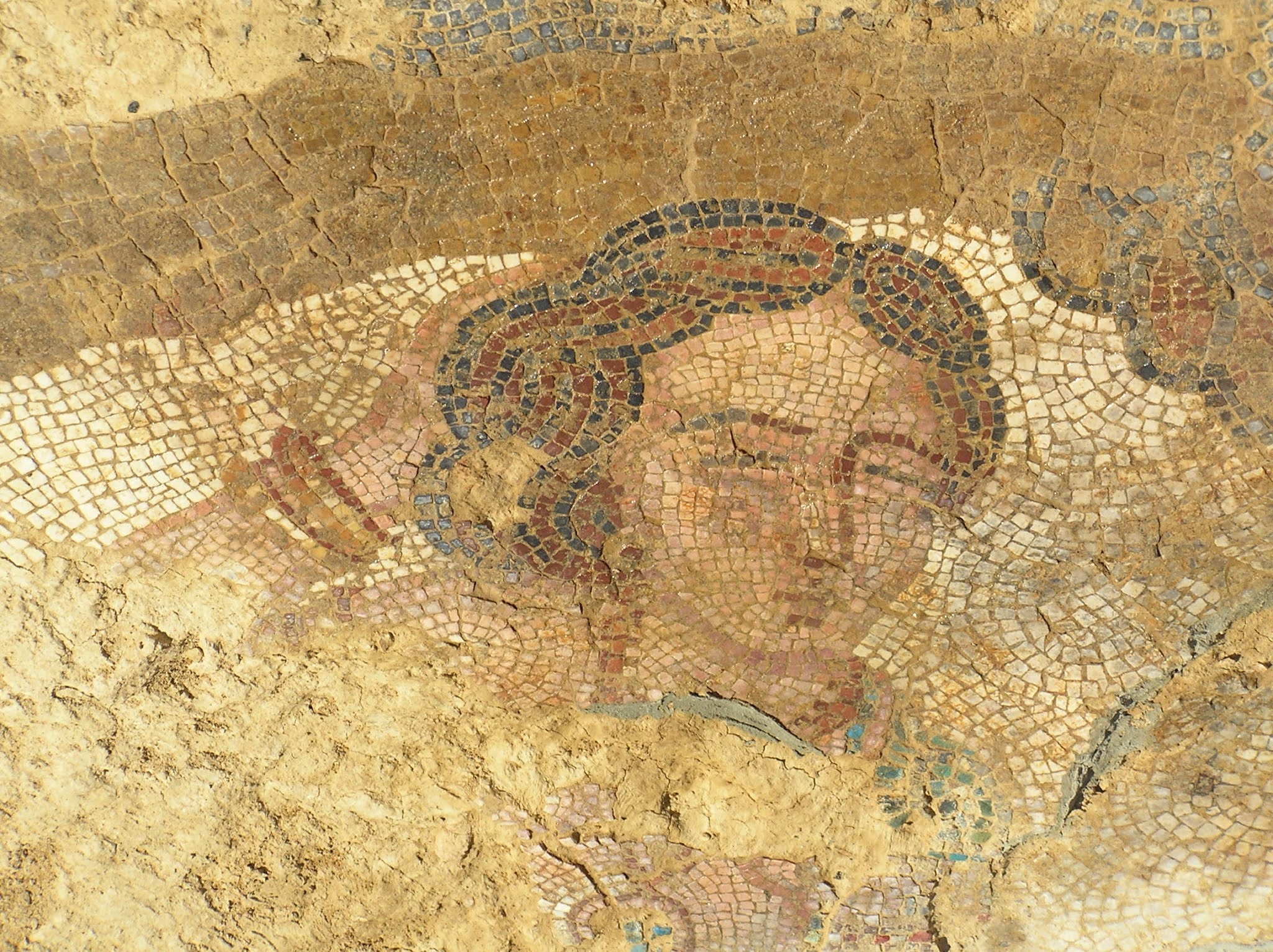 Más Vale Volando Camarzana de Tera Castro prehistórico y villa romana