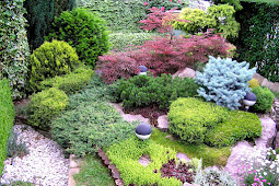 Colorful Design For Most Beautiful Home Garden