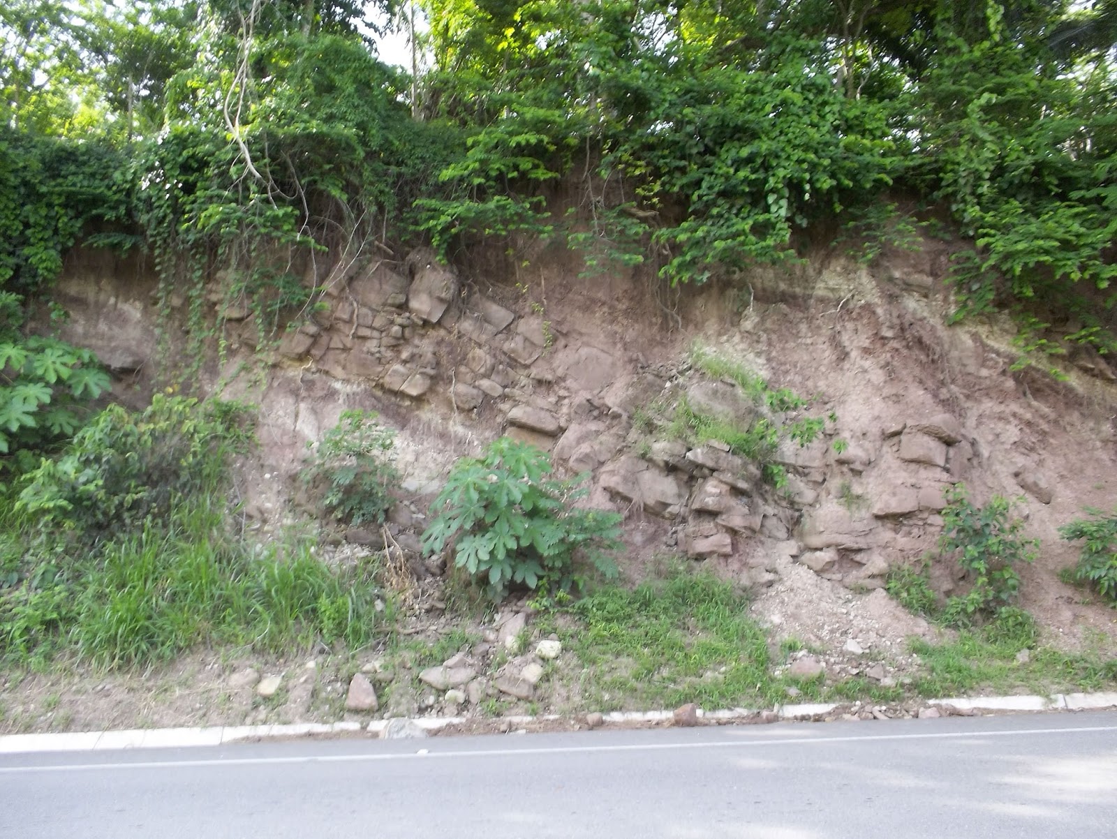 LA PROVINCIA DE HUALLAGA.: Depósitos sedimentarios, generalidades.