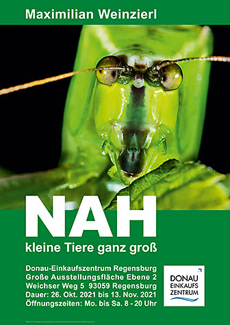 NAH – kleine Tiere ganz groß