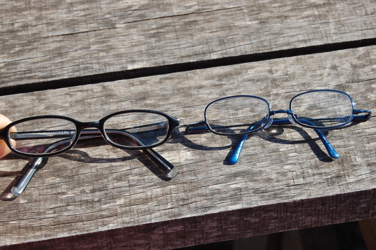 Got Down Syndrome's Blog: Specs4Us...Erin's World Frames