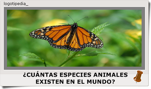 ¿CUÁNTAS ESPECIES ANIMALES EXISTEN EN EL MUNDO?