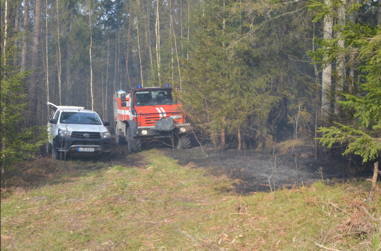 Operatīvo dienestu ekipāžas pie meža ugunsgrēka vietas Vilku mežā
