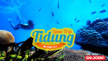 paket open trip pulau tidung