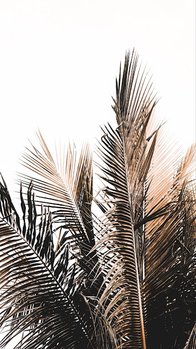 Minimal Wallpaper