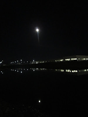 Moon on pond